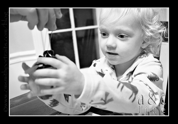 Jesse2n3-014 Jesse2n3-014